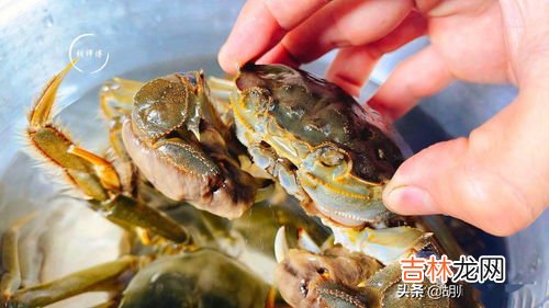 螃蟹怎么保存不死,买的螃蟹怎么存放不死 螃蟹的保存方法