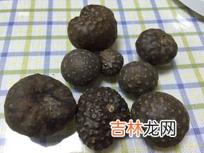 银杏树果子能吃吗?怎么吃,银杏树的果实怎么吃