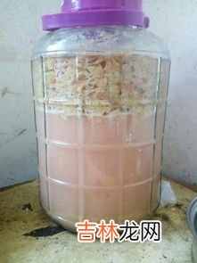 家庭葡萄酒的制作方法,家庭如何酿造葡萄酒