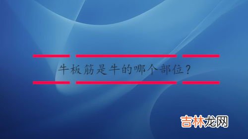 牛板筋是牛的哪个部位,人们吃的牛板筋通常位于牛的哪个部位