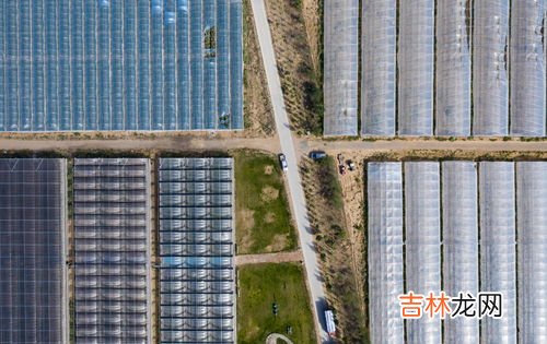 灵武市属于哪个市,灵武市是哪个省的