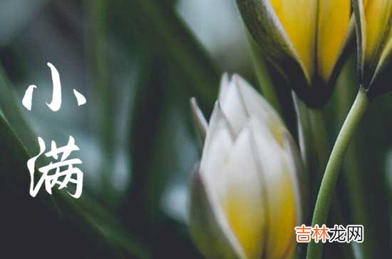 2023年哪天是小满