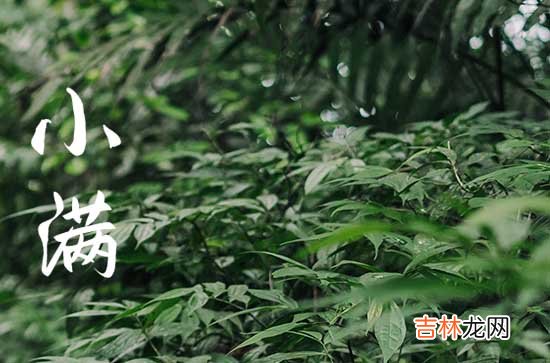 2023年小滿日期,今年小滿節氣時間點