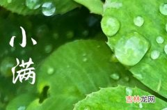 小满是农历几月几日2023