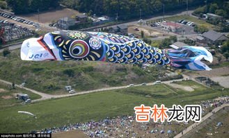 鲤鱼旗起源,鲤鱼旗的形成原因