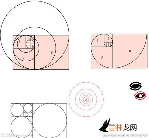 黄金比例是几比几,黄金比例的比值是多少