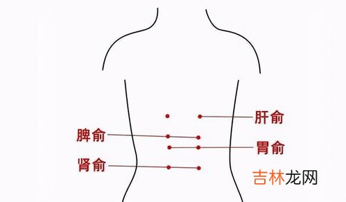 五腑六脏是指的什么,五脏六腑都是什么东西