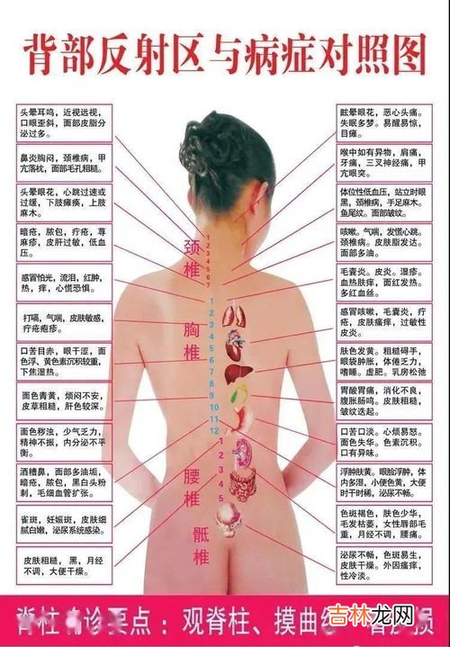 五腑六脏是指的什么,五脏六腑都是什么东西