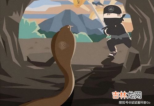 人类为什么不灭绝蛇,为什么不杀蛇
