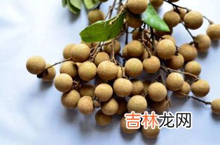 桂圓核能吃嗎,幹桂圓裏面的核能吃嗎