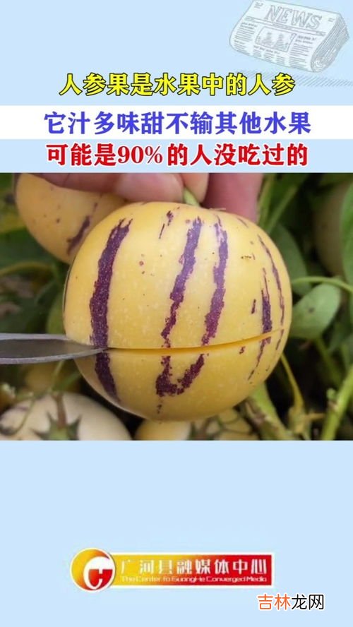 人参果甜吗,催熟的人参果会甜吗