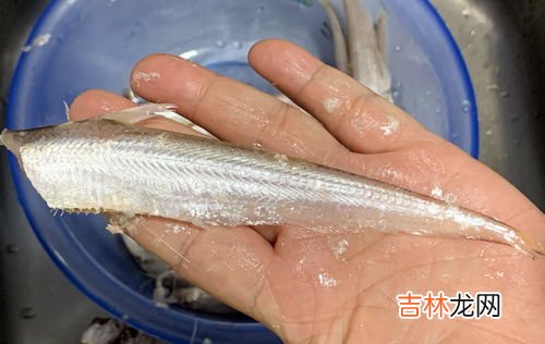 凤尾鱼怎么做好吃,煎凤尾鱼做法窍门