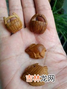 杏核能吃吗,杏子核可以吃吗?杏子核的功效与作用