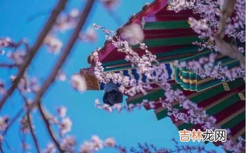 7月十五是什么节曰,七月15号是什么节日