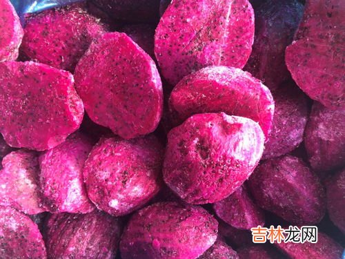 火龙果能放冰箱冷藏保存吗,火龙果可以放冰箱冷藏吗