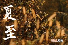 2023年夏至是几点几分 今年夏至几点交节