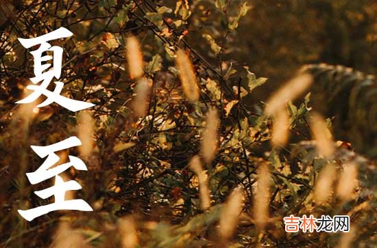 2023年夏至是几点几分 今年夏至几点交节