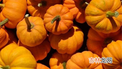 南瓜皮可以吃吗有什么作用,南瓜皮可以吃吗有什么作用