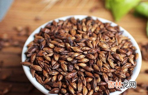大麦茶怎么喝才好,大麦茶怎么泡才好喝 大麦茶喝了上火吗