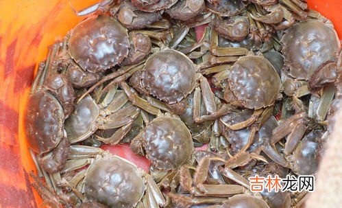 河蟹死多久不能吃了,河蟹刚死了多久不能吃