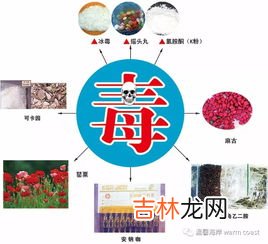 毒品危害用十二个字形容,毒品的危害可有哪12个字来形容