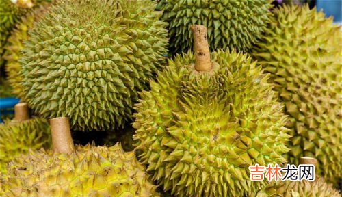 母榴莲的特征,榴莲公母怎样区分