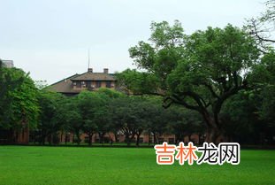 武汉大学城在哪个区域,武汉大学在武汉的那个地方?离武汉市区远吗?