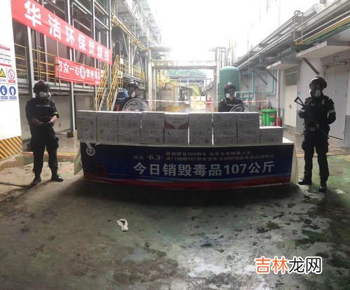 虎门销烟中的销毁的是哪种烟,虎门销烟销毁哪种烟