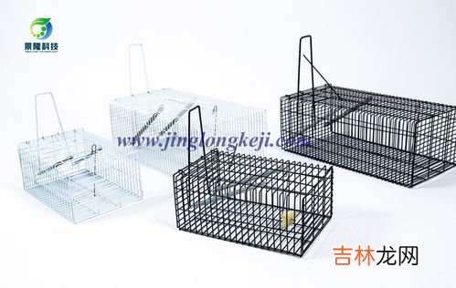 老鼠笼子怎么用,图示老鼠笼怎么用？有图解吗？