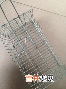老鼠笼子怎么用,图示老鼠笼怎么用？有图解吗？
