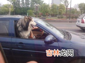 12岁可以坐副驾驶吗,12岁可以坐副驾驶吗