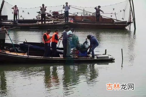 阳澄湖大闸蟹开湖时间2019,阳澄湖大闸蟹的开湖时间