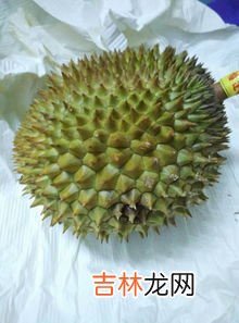 变质的榴莲吃了怎么样,榴莲变质是什么味道 榴莲变质了吃了会怎样