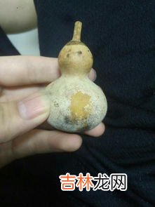 葫芦怎么处理才能保存,葫芦怎么处理才能保存 葫芦处理保存方法介绍