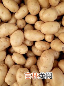 土豆需要放冰箱吗,土豆可以放冰箱吗
