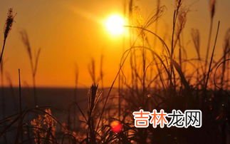 江春入旧年上一句是什么,江春入旧年上一句是什么