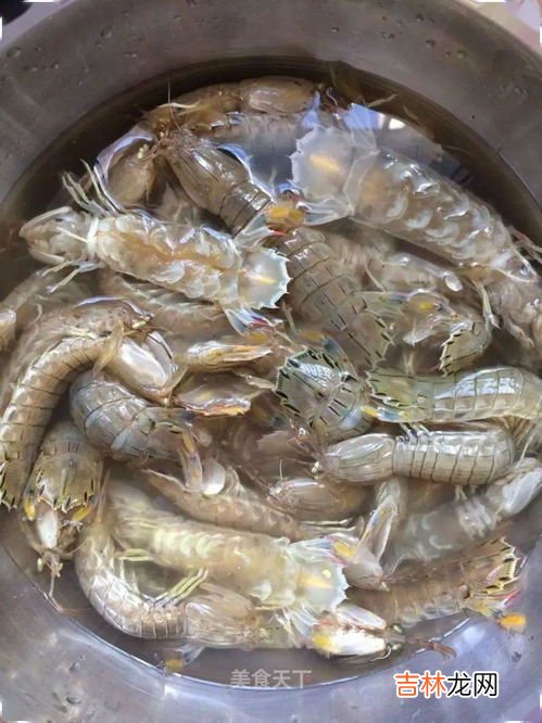 清蒸皮皮虾需要蒸多久,皮皮虾蒸多长时间最好吃 皮皮虾蒸最好吃的时间控制