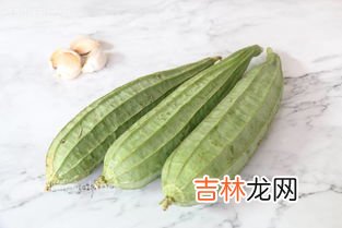 如何挑选丝瓜,怎么挑选新鲜的丝瓜