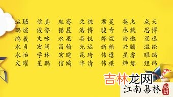 译字取名的寓意男孩,起名为嘉译是什么含义