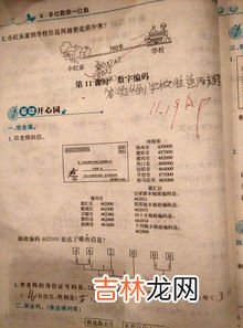 邮政编码是什么,什么是邮政编码?