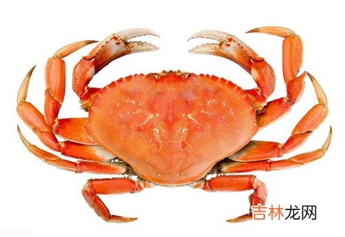 螃蟹相克的食物,螃蟹相克食物有哪些