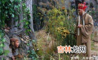 孙悟空说的无根水是什么水,什么叫无根水？