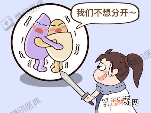 为什么一喝奶粉就拉肚子,宝宝喝奶粉之后拉肚子,是什么原因导致的?