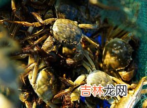 湖蟹要蒸多长时间,螃蟹一般蒸几分钟