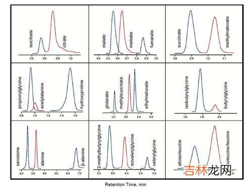 非极性运输的运输方式,极性运输和非极性运输的定义和解释