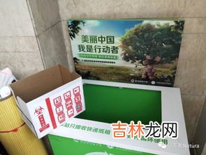 塑料壳是什么垃圾,鸡蛋塑料保护壳是什么垃圾
