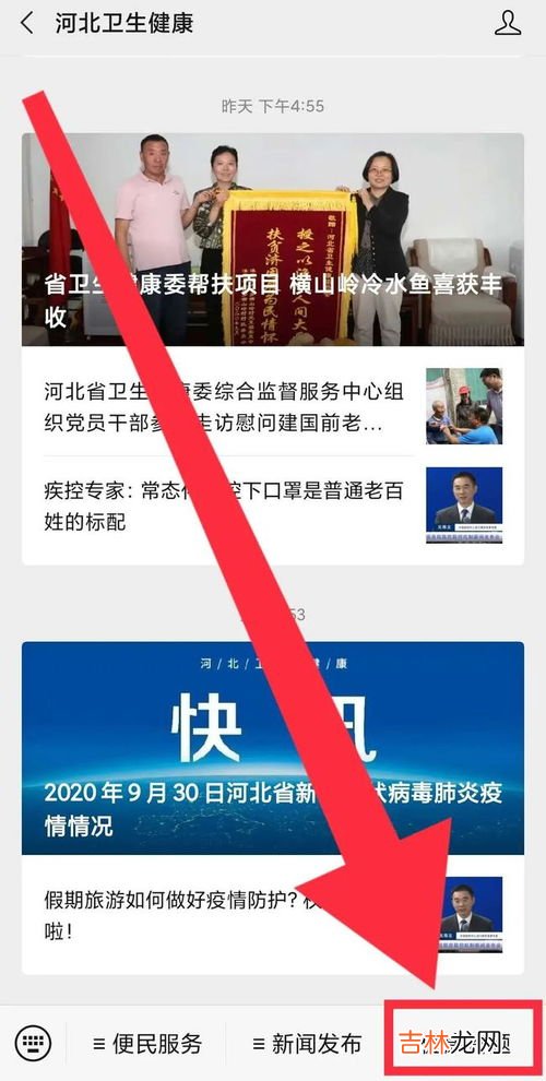 活动形式一般写什么,社会实践活动的活动形式怎么写