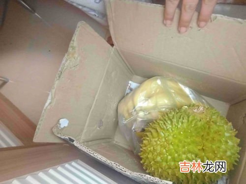变质的榴莲是什么样子,怎样 判断榴莲 变质