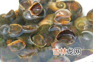 福寿螺到底能不能吃,福寿螺能吃吗？