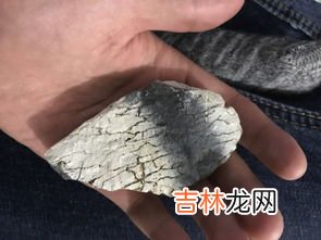 刷子掉进厕所怎么腐蚀,马桶刷头掉进马桶里怎么办？